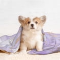 thumbnail image 4 of Disketp Lavender Glitter Foil Stripes Dog Blanket/Bed Cover for Dogs and Cats,Puppy Essentials-Small, 4 of 8