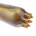 thumbnail image 3 of Herramienta De Meridian Removedor De Grasa Para El Cuerpo Y La Cara Anticelulitis De Mano jinwen Cepillo del masaje para el removedor gordo, 3 of 7