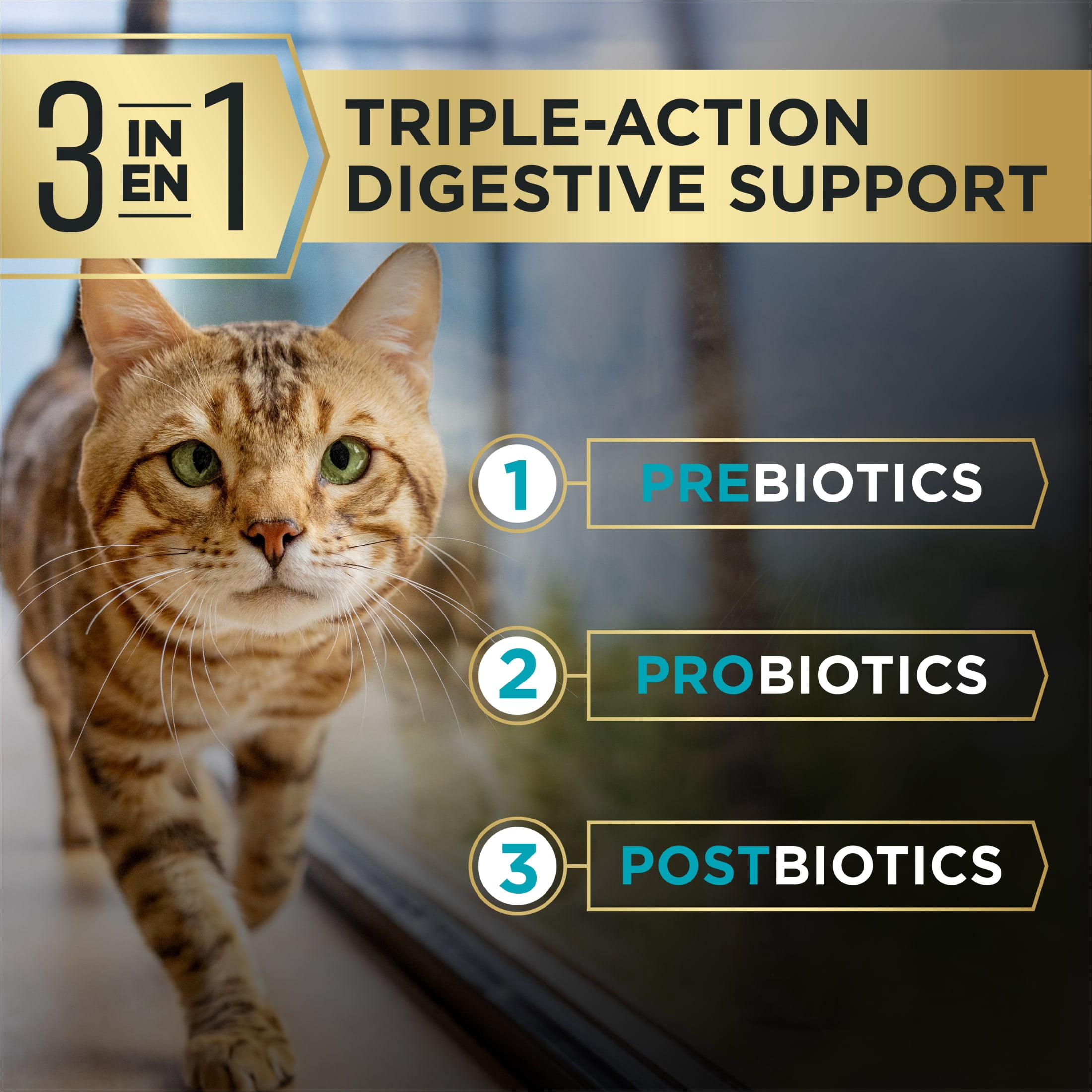 Purina Pro Plan AdvantEDGE Digestive Support Plus Adult Salmon and Rice Formula Dry Cat Food, 5 lb.