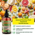 thumbnail image 4 of ⭐ 𝐁𝐄𝐒𝐓𝐒𝐄𝐋𝐋𝐄𝐑 Plant Superfood for CALATHEA Plants with B1 Vitamin, Glucose and Essential Minerals - Organic Plant Food Fertilizer for Indoor & Outdoor CALATHEA Plant Care - 8oz, 4 of 6