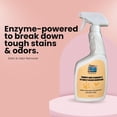 thumbnail image 2 of Stain & Odor Remover – Enzyme-Powered Cleaner for Pet Accidents on Carpet, Furniture & Floors – 32 oz Spray – Safe for Dogs, Cats & Homes, 2 of 4