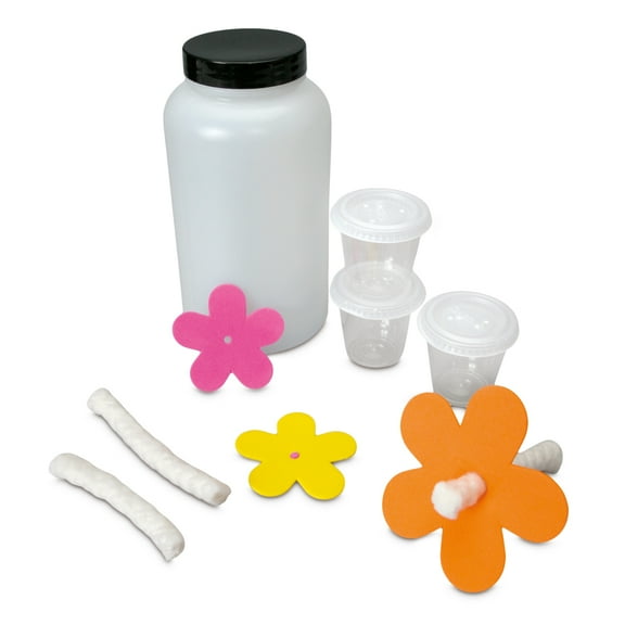 Butterfly Feeding Station Set, Feed Newly Emerged Butterflies