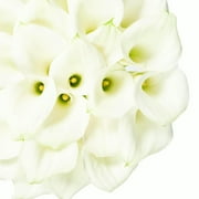 White Calla Lilies Fresh Cut 35 Stems