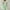 Green, variant on Viadha Dresses for Women 2024 Women Casual Fashion Loose Solid Lace Chiffon Short Sleevee V-Neck Dress on Clearance