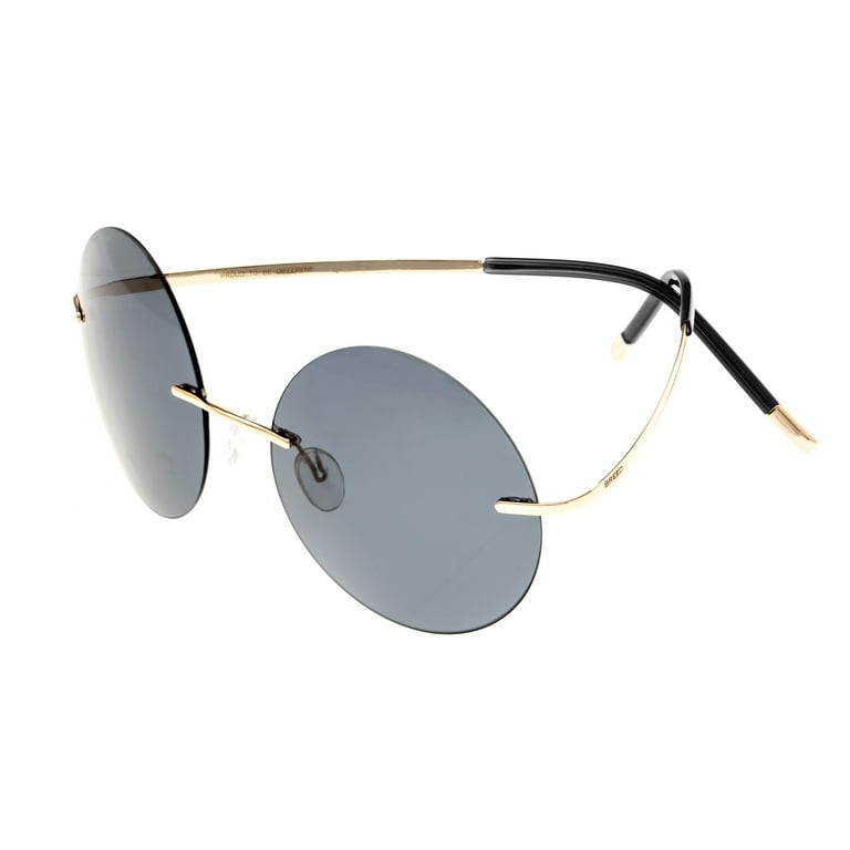 Breed titanium store polarized sunglasses