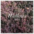 thumbnail image 2 of Wallows - Spring - Music & Performance - Vinyl, 2 of 2