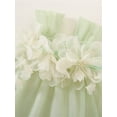 thumbnail image 4 of Coduop Infant Baby Girls Birthday Princess Tutu Dress Flower Sleeveless Layered Tulle Cute Dress, 4 of 7