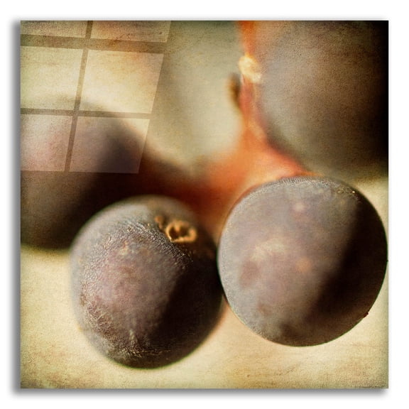 Epic Art 'Berries 5' by Jessica Rogers, Acrylic Glass Wall Art, 12"x12"