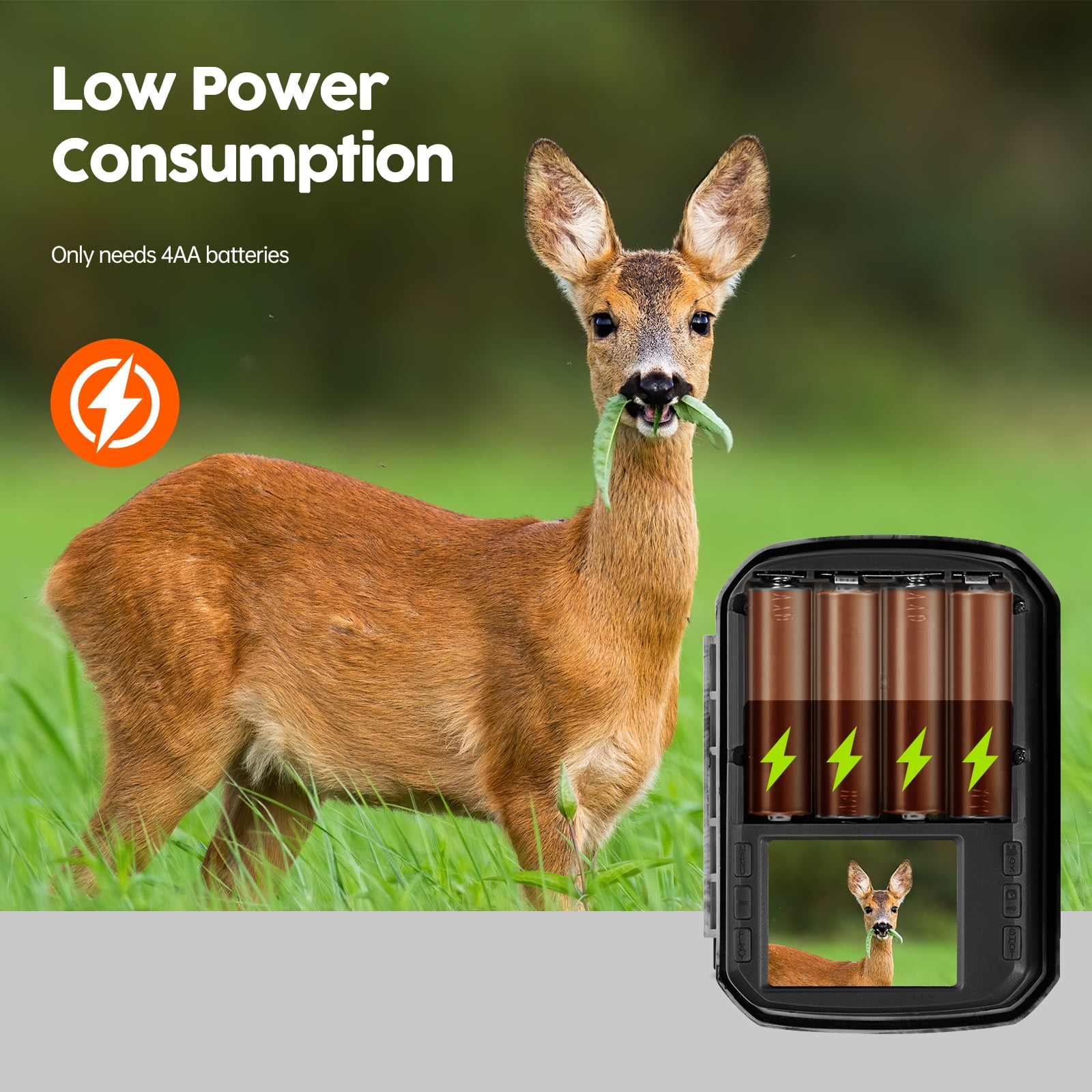 CAMPARK 2 PACK Trail Camera 36MP 2K Hunting Game Camera with Infrared Night Vision Motion Activated Waterproof Deer Trail Cam for Wildlife Monitoring