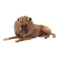 thumbnail image 1 of Déguisement de Roi de la Jungle Lion pour Homme et Chien, Petit, 1 of 2