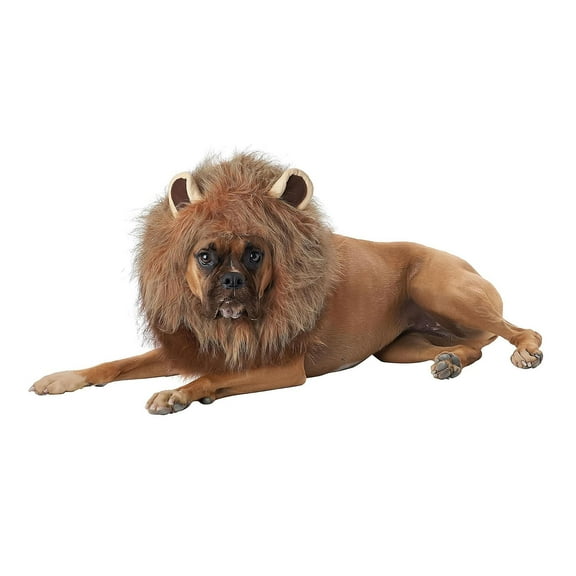 California Costumes King of the Jungle Lion Mane Dog Costume, X-Small Unisex