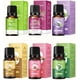 thumbnail image 1 of Set de Aceites Esenciales Puros para Masaje Corporal en Tienda Online de Belleza y Bienestar, 1 of 7