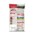 thumbnail image 3 of Pennington Rebels Tall Fescue Grass Seed, for Sun to Partial Shade, 20.0 lb. , 1 Bag, 3 of 17