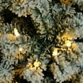 thumbnail image 2 of Christmas Clearance! 6ft 928 Branch Christmas Tree, Indoor Holiday Decoration Artificial Tree Green, 2 of 8