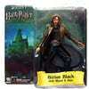 NECA Harry Potter Series 1 Sirius Black Action Figure
