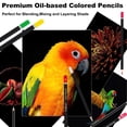 thumbnail image 4 of 120 Colored Pencils Kit, Oil-Based Soft Core Art Supplies with Zipper Case, Ideal for Sketching and Shading, Professional Drawing Pencil Set, 4 of 7
