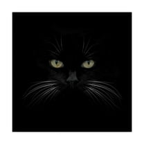 Lori Hutchison 'Black Cat Centered' Canvas Art