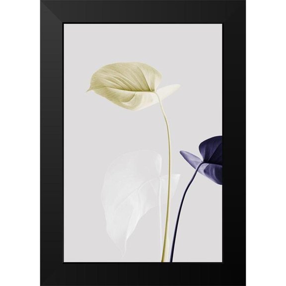 Artographie Studio 11x14 Black Modern Framed Museum Art Print Titled - Monstera Creative 23