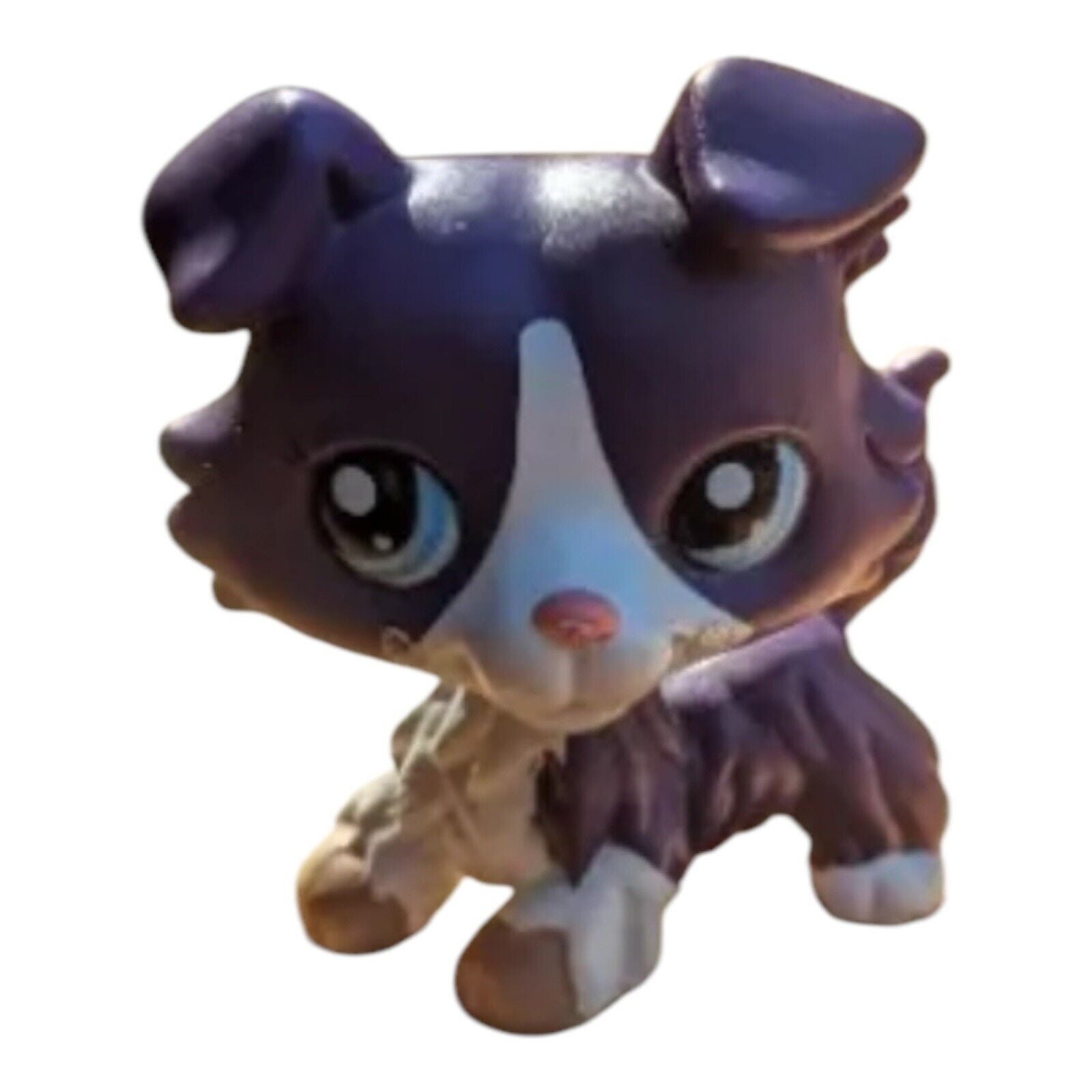 Littlest Pet Shop LPS 1676 Purple Collie AUTHENTIC LPS New