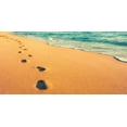 thumbnail image 2 of Plank, Savanah 14x9 Black Ornate Wood Framed with Double Matting Museum Art Print Titled - USA, Hawaii, Kauai, Kapaa, be, 2 of 4