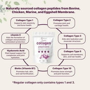 Micro Ingredients Multi Collagen Protein Powder, 2lb | Type I,II,III,V,X with Biotin, Hyaluronic Acid, Vitamin C - Unflavored Collagen Peptides