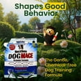 thumbnail image 2 of Repelente para perros Nature's MACE granulado 1,400 pies², 2 of 7
