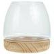 thumbnail image 1 of 1 juego de acuario transparente multifunción para Betta, escritorio, pecera, decoración de oficina, 1 of 7