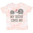 thumbnail image 3 of Inktastic My Sister Loves Me Boys or Girls Toddler T-Shirt, 3 of 5