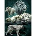 thumbnail image 3 of Cuadros Decorativos Kit de póster de pintura de diamante de tigres de bosque DIY de mosaico de diamantes de imitación 5D Ehuebsd Nuevos Originales, 3 of 9