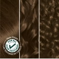thumbnail image 5 of Garnier Nutrisse Nourishing Permanent Hair Color Cream, 50 Medium Natural Brown (Truffle) (2 Count) Brown Hair Dye, 5 of 9
