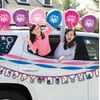 Trolls Birthday Car Parade Decorating Kit