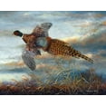 thumbnail image 2 of Mock, Carolyn 18x15 Black Ornate Wood Framed with Double Matting Museum Art Print Titled - Taking Flight, 2 of 4