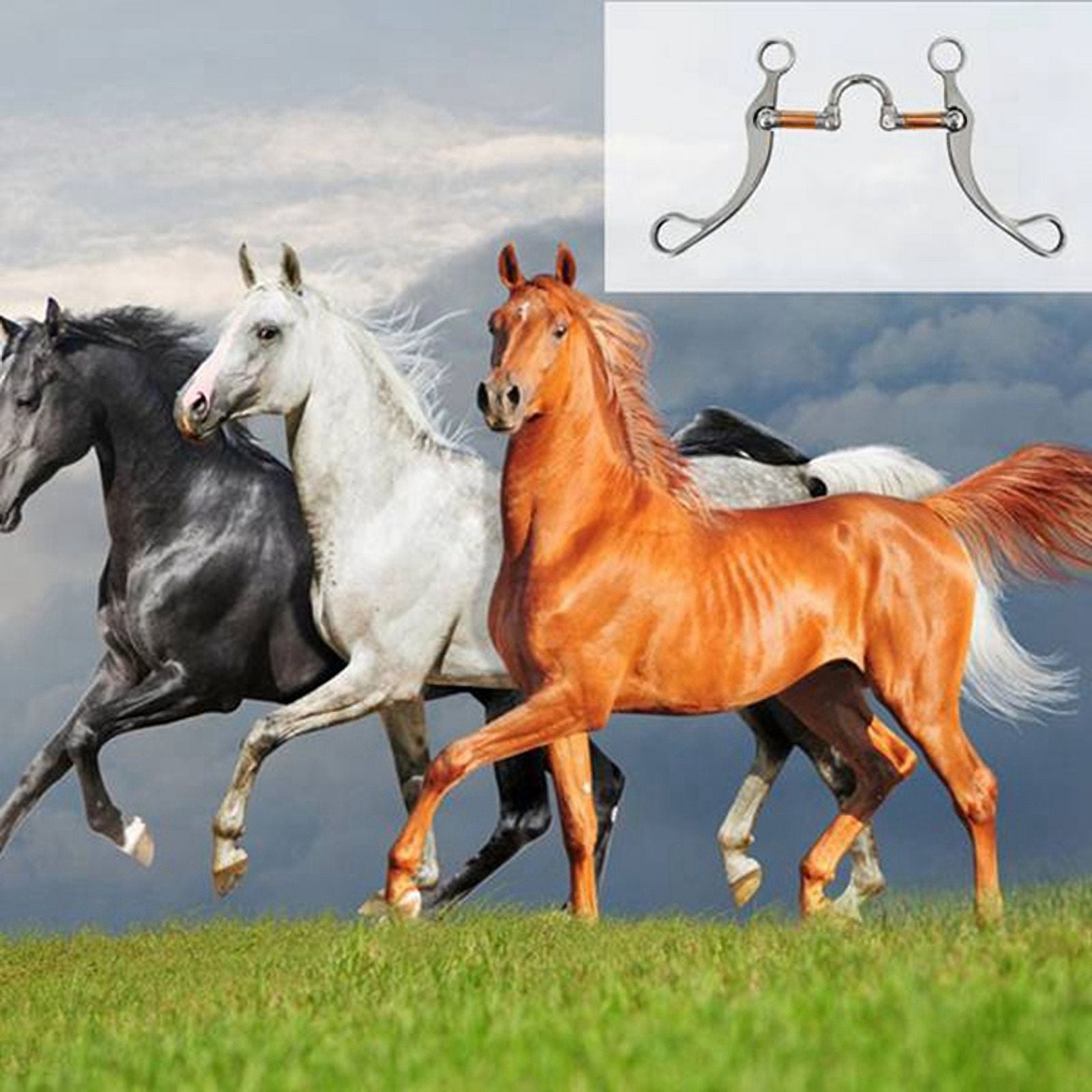Morceaux de Snaffle en Acier Inoxydable Morceaux de Cheval Morceaux de Snaffle Western pour Entraînement avec Port en Cuivre