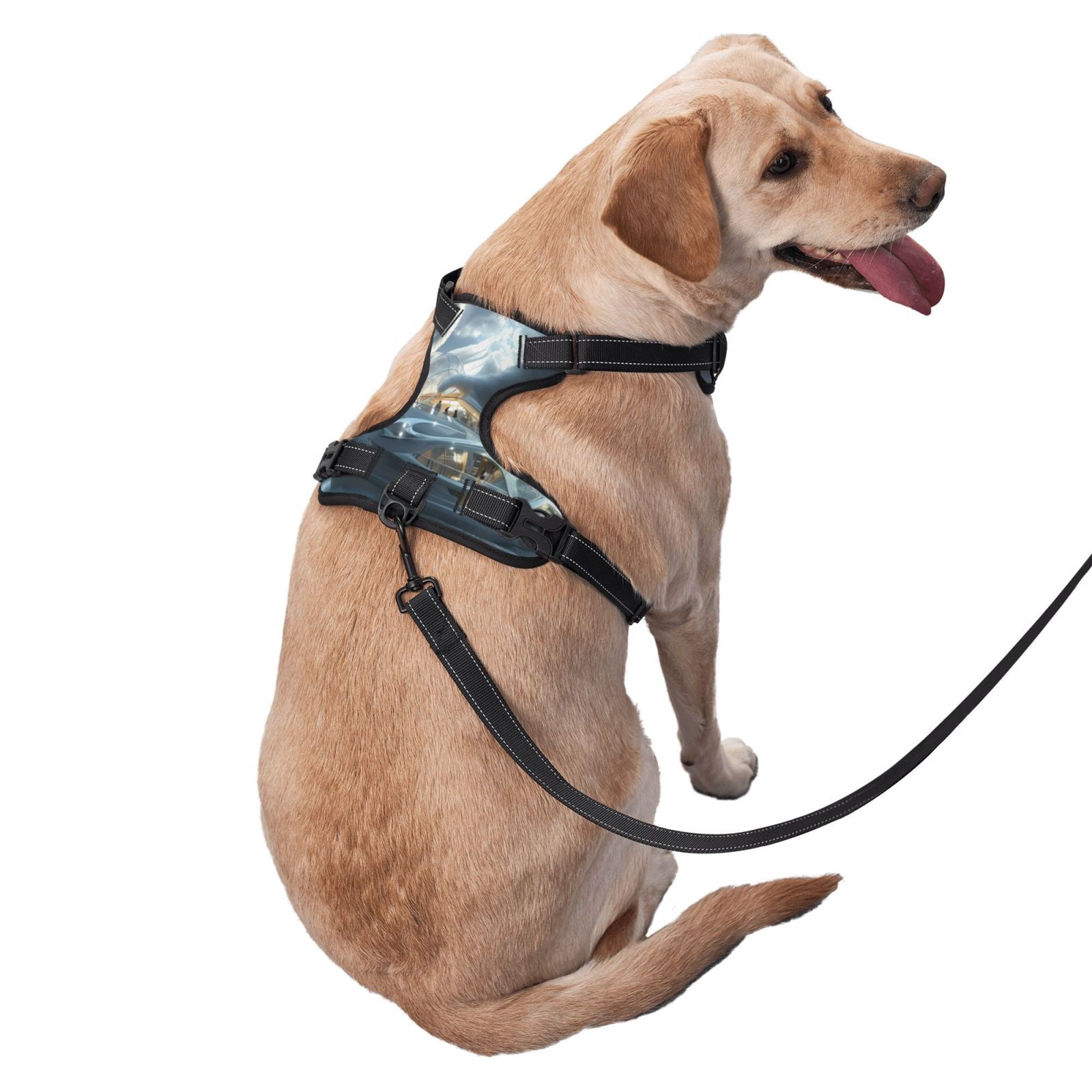 Vsdgher Fantasy Swan Yacht Design Dog Harness, No-Pull Pet Harness, Dog Vest, Pet Vest for Small to Large Dogs-Small