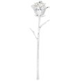 thumbnail image 2 of Long Stem Rose Gifts 24K Christmas Plate Roses Creative Leaf Flower Collection Gift Decoration Lengthy Floral Picks, 2 of 7