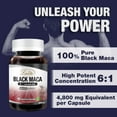 thumbnail image 5 of Lovita Black Maca Root Capsules 4800mg | 6:1 Concentrated Extract | Energy & Vitality Support | 60 Vegetarian Capsules, 5 of 8