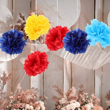 TEHAUX 10Pcs Tissue Paper Pom Poms for Party Supplies and Home Decorations