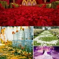 thumbnail image 5 of 2200 Uds. Pétalos de rosa de tela no tejida, pétalos de rosa simulados, decoración floral para fiesta de boda, 5 of 5