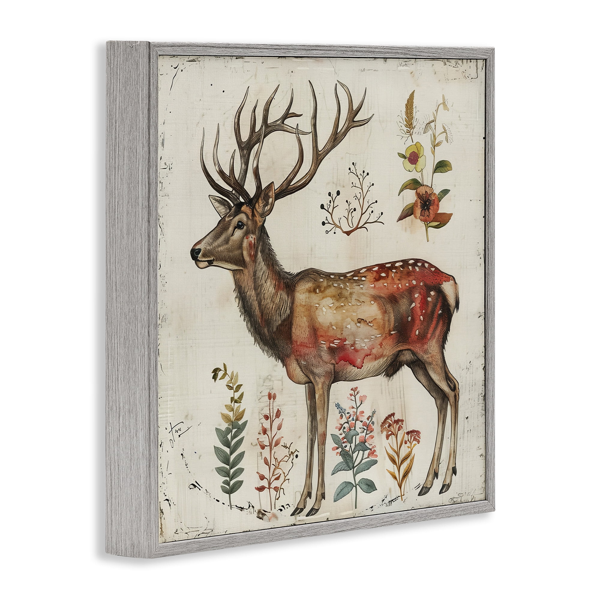 Stupell Industries Forest Elk with Botanicals Animals & Insects Painting Gray Framed Art Print Wall Art, 12 x 12