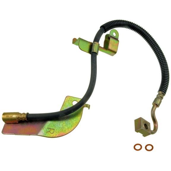 Dorman H381308 Rear Right Brake Hydraulic Hose for Specific Ford Models Fits select: 1999,2003 FORD MUSTANG COBRA SVT