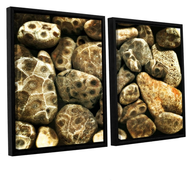 Artwall Kevin Calkins Petoskey Stone Collage 2 Piece Floater Framed Canvas Set Walmart Com Walmart Com