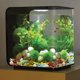 thumbnail image 5 of 2 paquetes de guijarros brillantes decorados con coloridos acuarios de piedras brillantes, 5 of 5