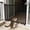 S, variant on No Drilling Pet Door Fence with Zipper, PVC Mesh Barrier for Cats Dogs, Foldable Mosquito Proof, Anti-Escape, for Staircase Doorway