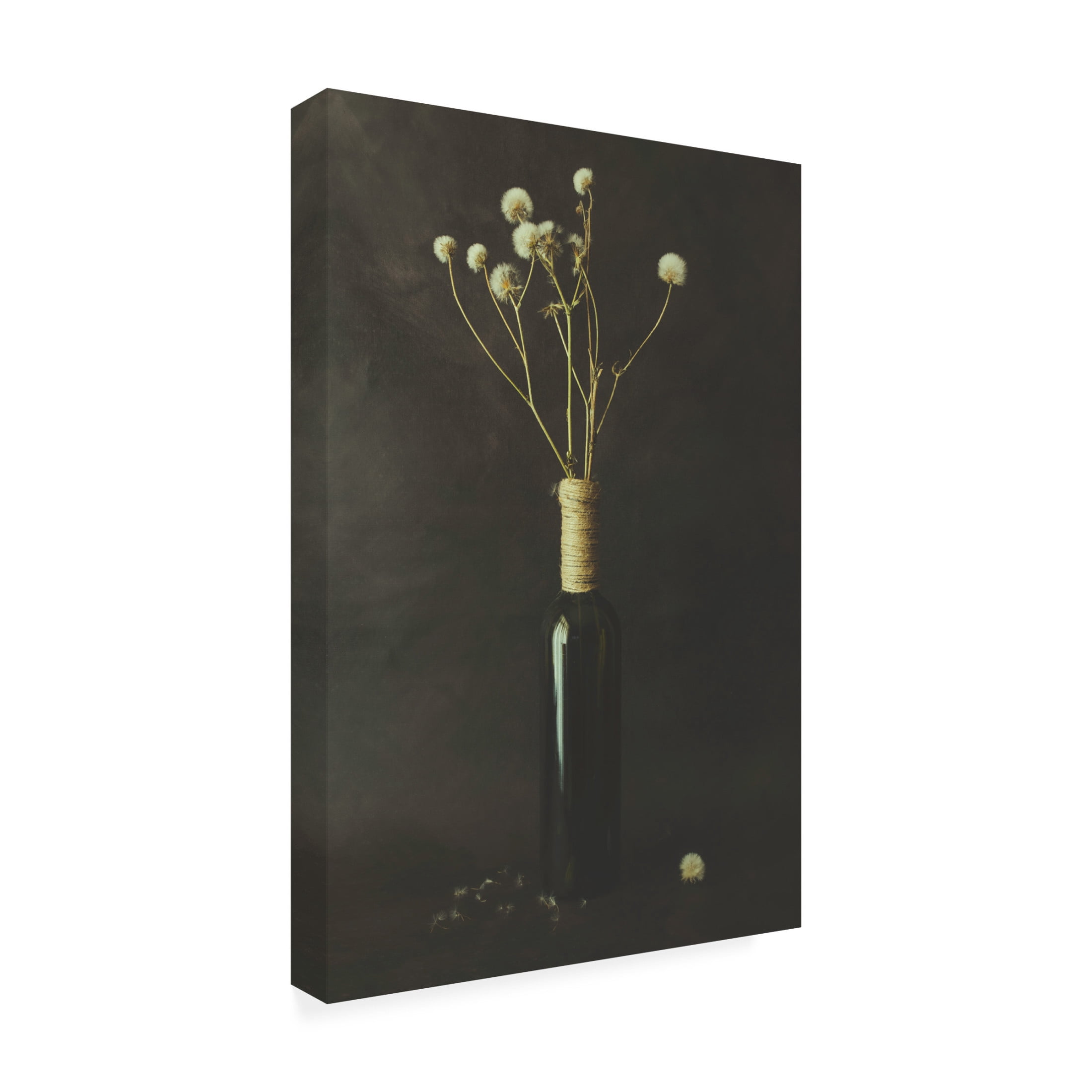 Canvas Wall Art - Cicek Kiral 'Pure' Wall Art for Living Room, Bedroom, or Office Décor by Trademark Fine Art - 30 x 47 Inches