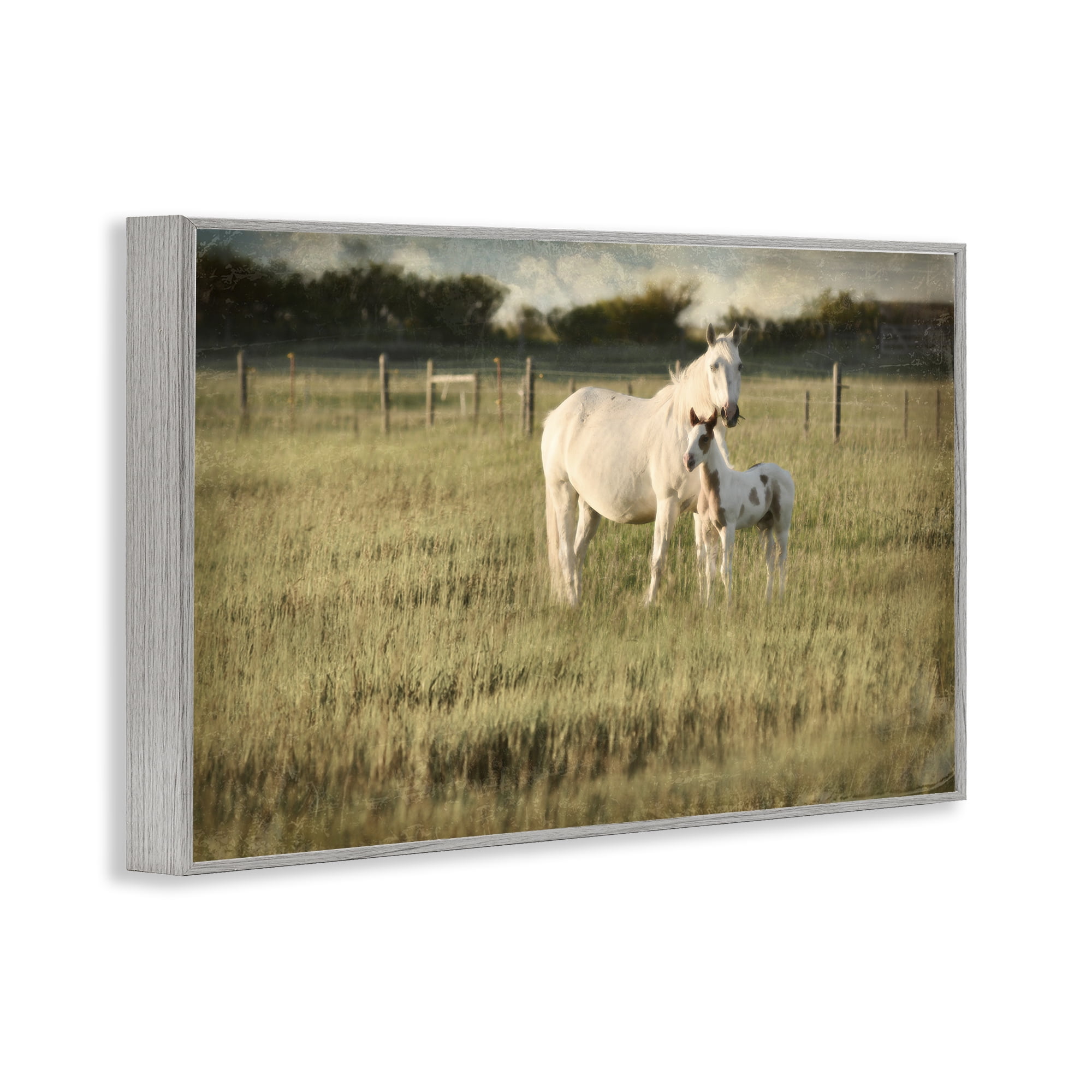 Stupell Industries Rural Horse and Foal Landscape Photography Gray Framed Art Print Wall Art, 30 x 20