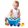 thumbnail image 3 of DAISY SHAPE SORTER -16pcs, 3 of 4