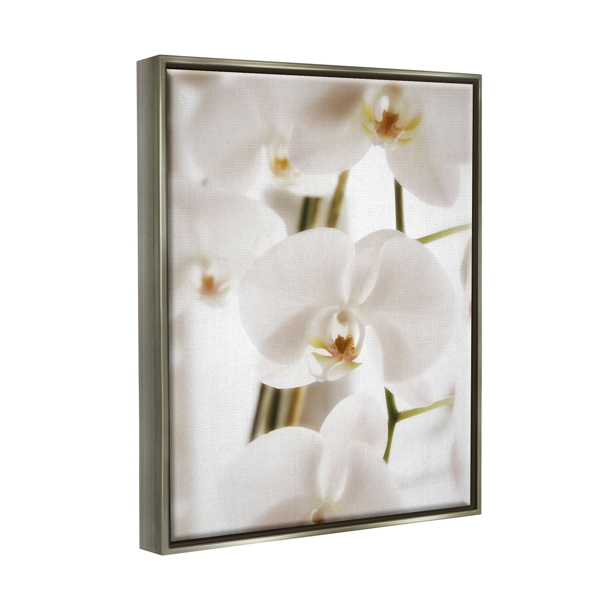 Stupell Elegant White Orchid Petals Botanical & Floral Photography Gray Floater Framed Art Print Wall Art