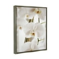 thumbnail image 3 of Stupell Elegant White Orchid Petals Botanical & Floral Photography Gray Floater Framed Art Print Wall Art, 3 of 6