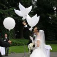 thumbnail image 1 of La Paix Colombe Ballons, 10pcs la Paix Colombe Ballons Ballons Pigeon Volants Grande Colombe Ballons Conception Révolutionnaire, 1 of 8