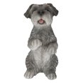 thumbnail image 1 of SCHNAUZER MINIATURE Assis, 1 of 4
